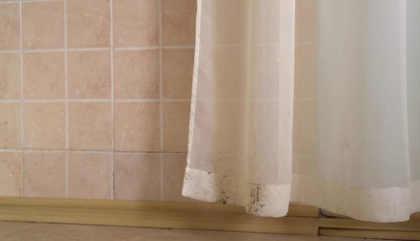 Best Environmental Consulting for Mold Prevention  in Linglestown, PA