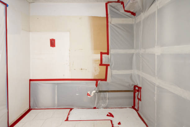 Best Mold Documentation for Insurance Claims  in Linglestown, PA