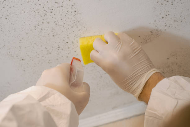 Dehumidification Services in Linglestown, PA
