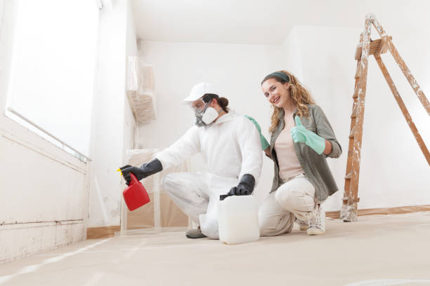 Best Asbestos and Lead Testing During Mold Inspection  in Linglestown, PA