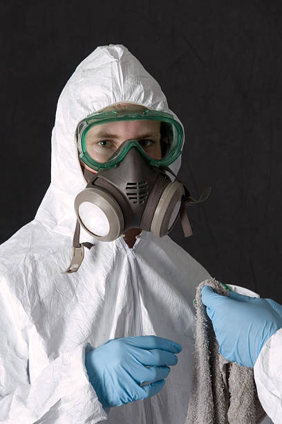 Best Post-Remediation Verification Testing  in Linglestown, PA